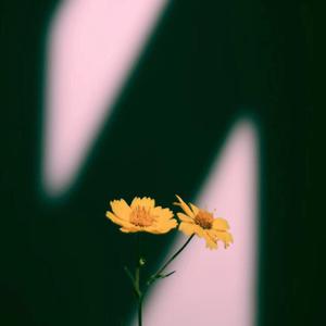 国产网友愉拍精品视频手机
